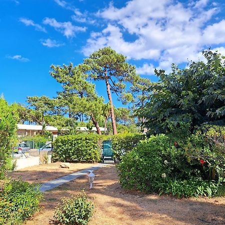 Mini Villa Jardin 50 M Plage Borgo  Exterior photo