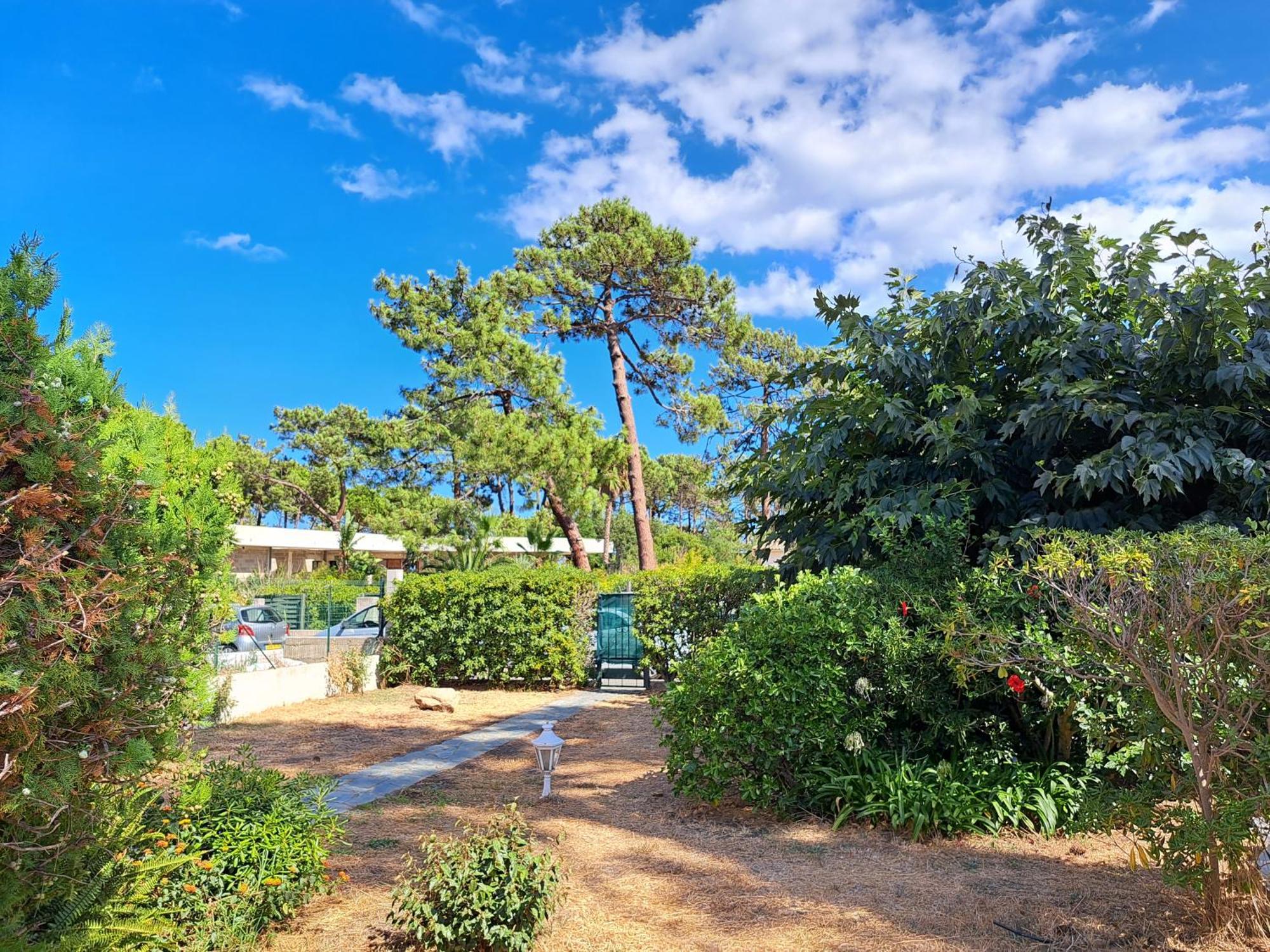 Mini Villa Jardin 50 M Plage Borgo  Exterior photo